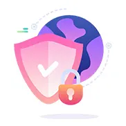 Testing & Delivery